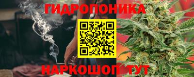 ECSTASY Лесосибирск