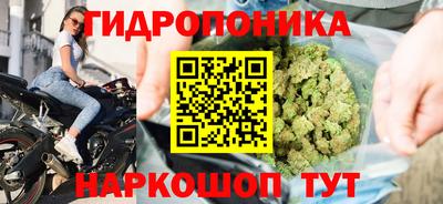 ECSTASY Лесосибирск