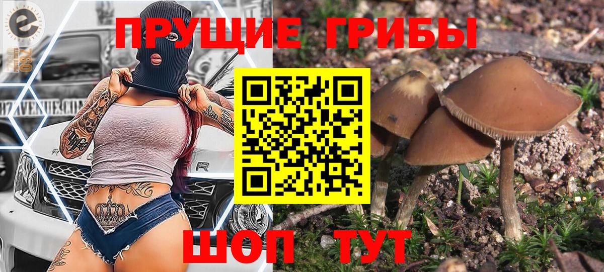 Галлюциногенные грибы MAGIC MUSHROOMS  Вход с VPN  Чебаркуль 