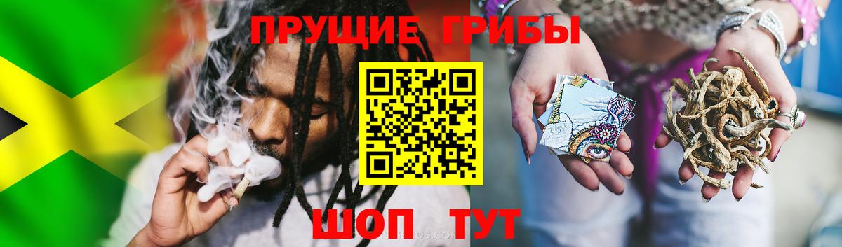 Галлюциногенные грибы MAGIC MUSHROOMS Чебаркуль